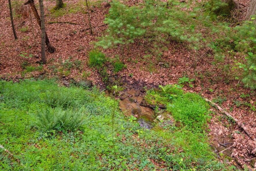More Photos Of tbd Criders rd, Bergton Land For Sale