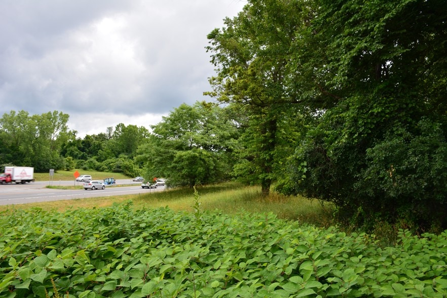 More Photos Of 8 Scobie Dr, Newburgh Land For Sale