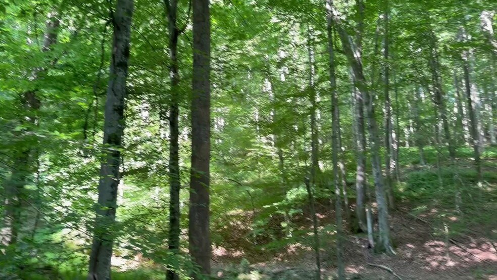 More Photos Of 400 Eden Church rd, Madison Land For Sale