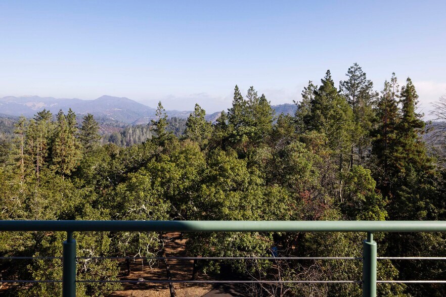 More Photos Of 3000 Mount Veeder Rd, Napa Winery Vineyard For Sale