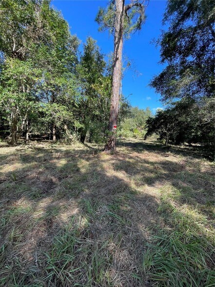 More Photos Of 2330 E University Ave, Gainesville Land For Sale