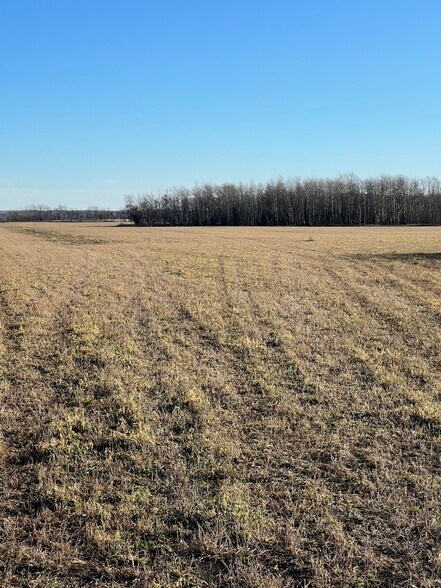 Primary Photo Of NW-28-71-5-W6, Grande Prairie Land For Sale