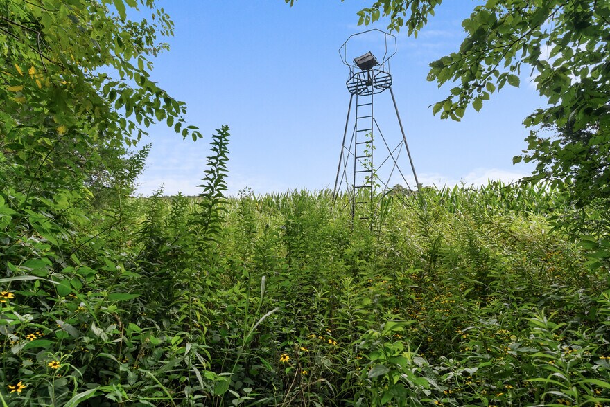 More Photos Of 2942 Newman Rd, Ardmore Land For Sale