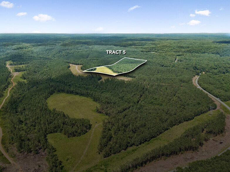 More Photos Of 1420 Big Swan Creek Rd, Summertown Land For Sale