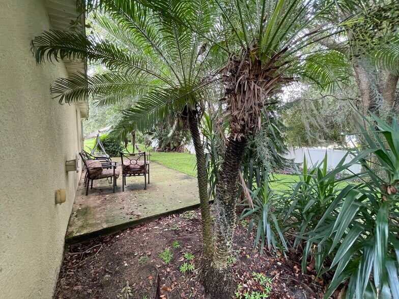 More Photos Of 185 Winding Cove Ave, Apopka Healthcare For Sale