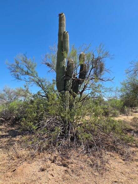 More Photos Of 31602 Black Cross #19 Rd, Scottsdale Land For Sale