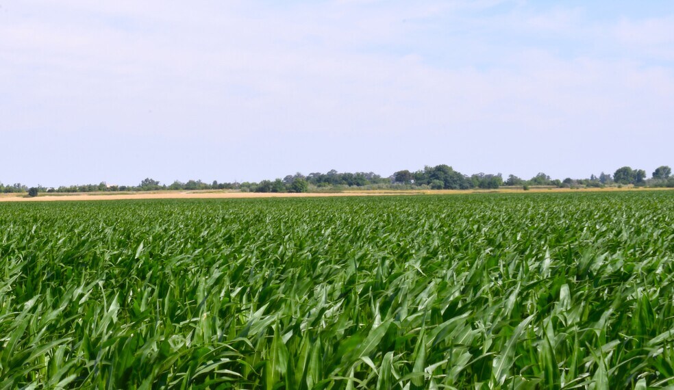 More Photos Of 16637 Tyler Island Rd, Isleton Land For Sale