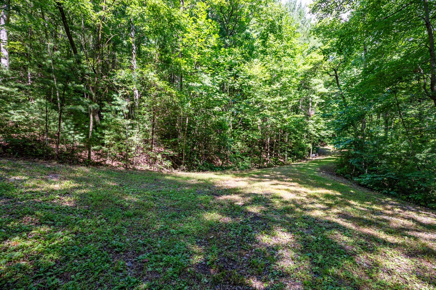More Photos Of Mountain Cove Estates Rd, Cherry Log Land For Sale