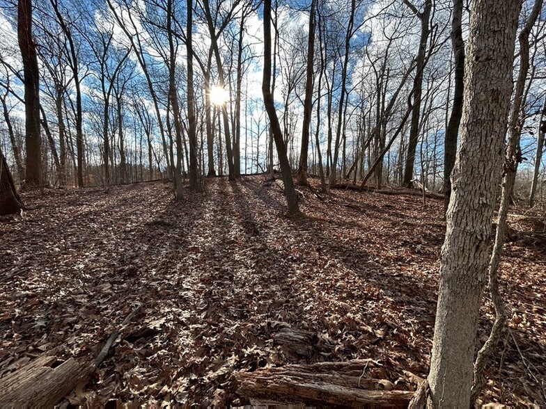 Primary Photo Of 4355 Old Roxbury Rd, Brookeville Land For Sale