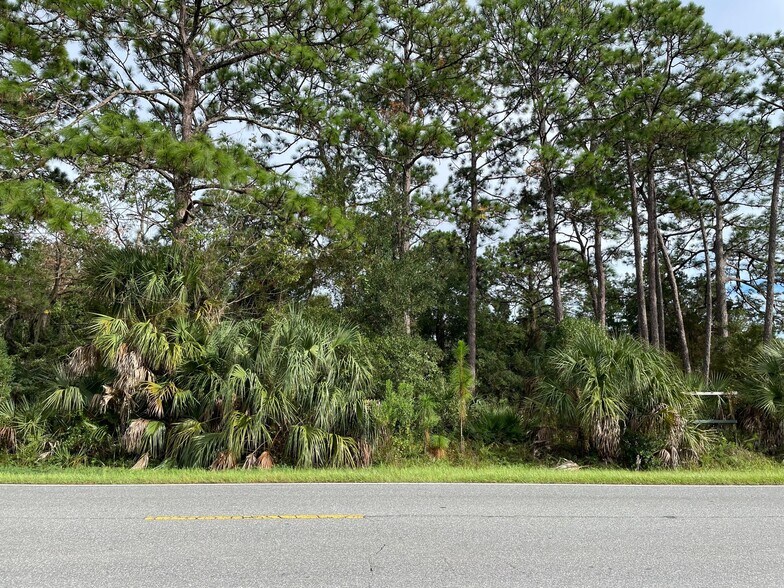 More Photos Of 7860 W Homosassa Trl, Homosassa Land For Sale