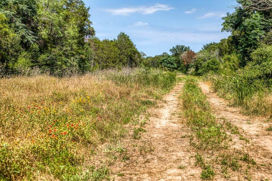 More Photos Of TBD (+/-88 Acres) Smith Rd, Bastrop Land For Sale