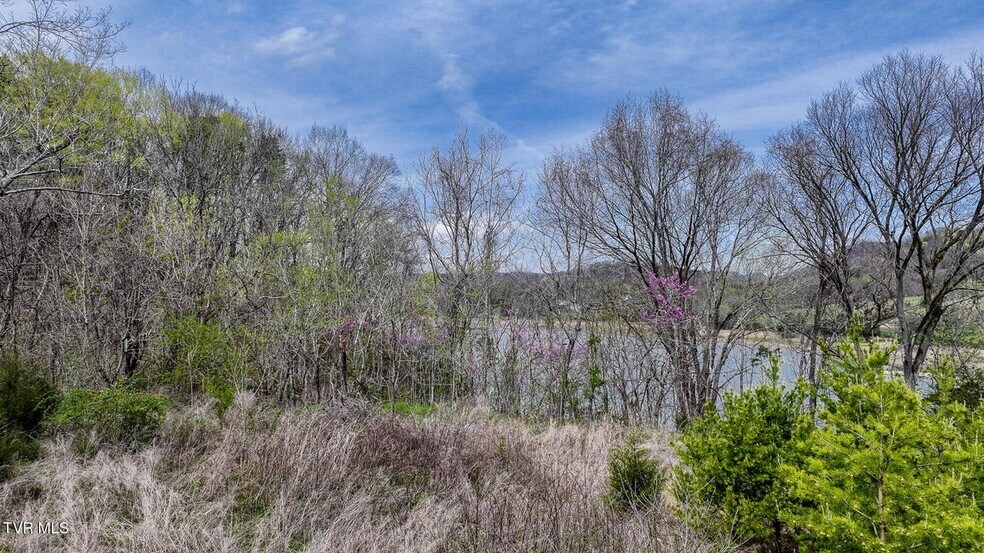 More Photos Of 340 Melinda Ferry rd, Rogersville Land For Sale