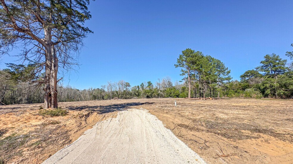 More Photos Of TBD Highway 105, Cleveland Land For Lease