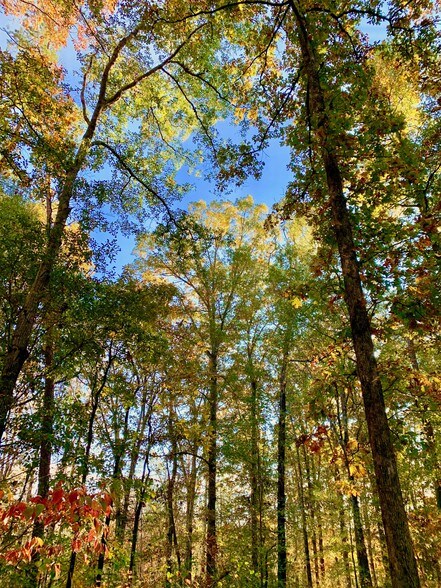 More Photos Of 1882 Barber Creek Rd, Statham Land For Sale