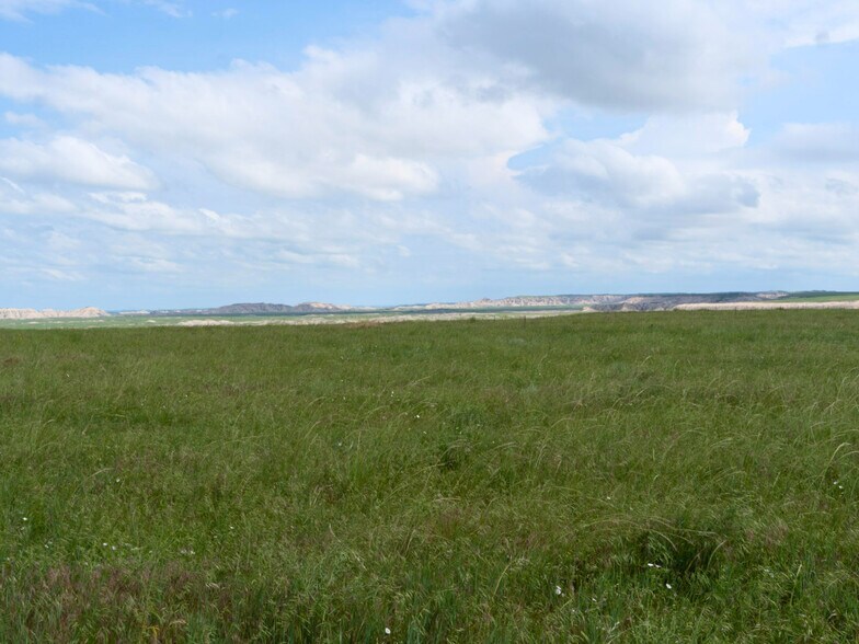More Photos Of 24900 Spring Draw Rd, Scenic Land For Sale