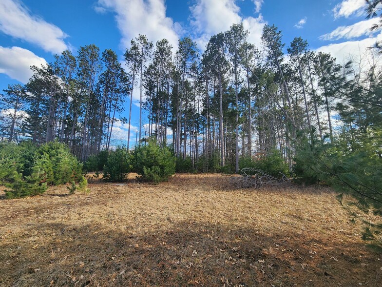 Primary Photo Of Lot 6 - 7 Plaza Drive, Minocqua Land For Sale