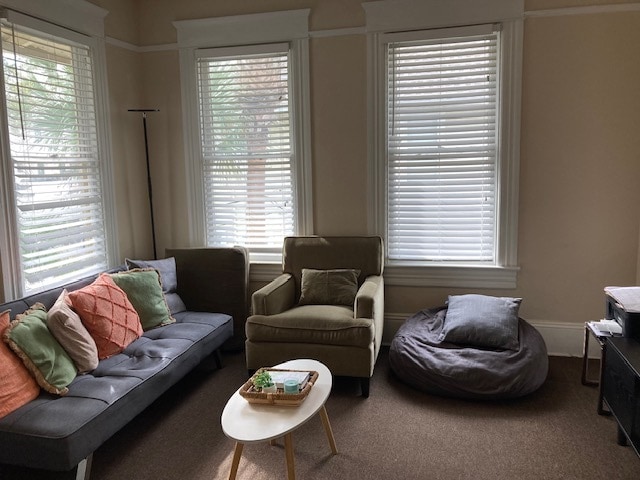 More Photos Of 806 W De Leon St, Tampa Office Residential For Lease