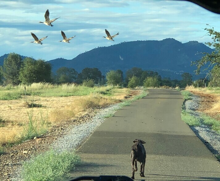 More Photos Of 21623 Seven Lakes Ln, Redding Land For Sale