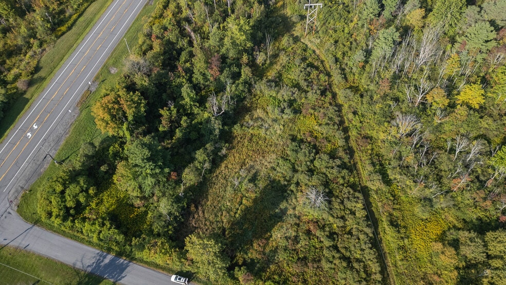 More Photos Of 219 Mudge rd, Delanson Land For Sale