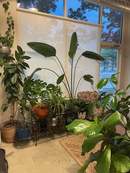 More Photos Of 489 Ellicott St, Buffalo Apartments For Lease