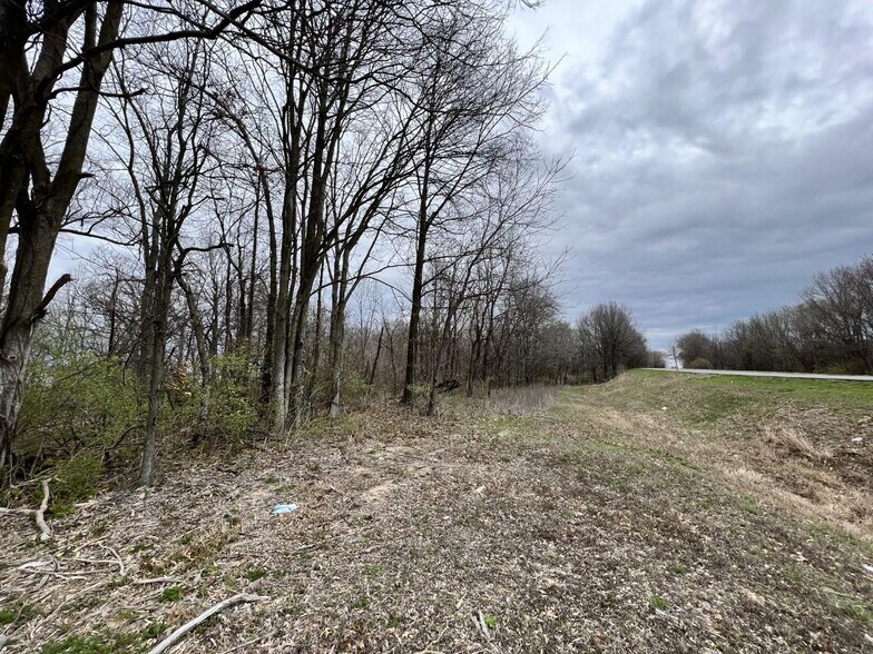 More Photos Of 00 US Highway 51, De Soto Land For Sale