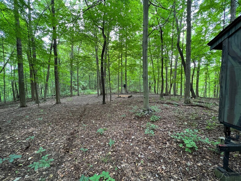 More Photos Of 6050 Riverview Rd, Peninsula Land For Sale