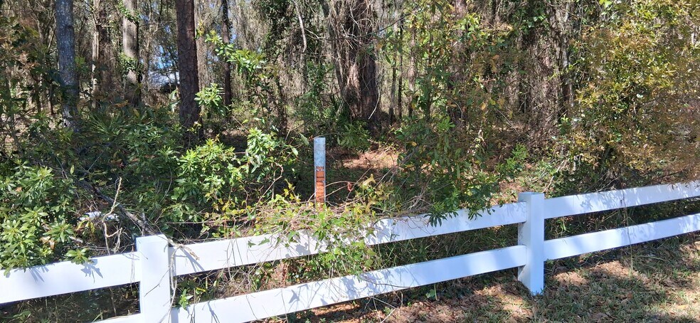 More Photos Of Collins Road & Ortega Bluff Parkway, Jacksonville Land For Sale