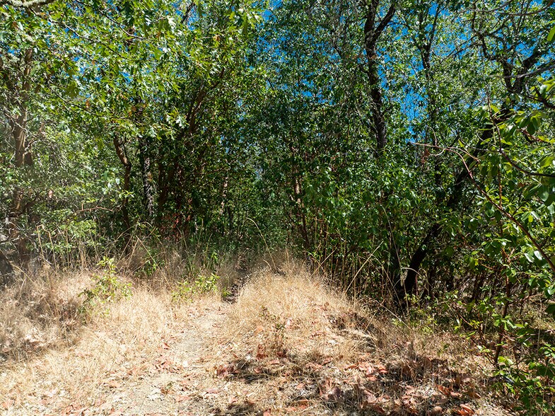 More Photos Of 0 Rosemary Lane Ln, Grants Pass Land For Sale