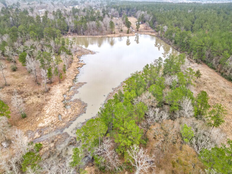 More Photos Of 31 Shady Ln, Shepherd Land For Sale