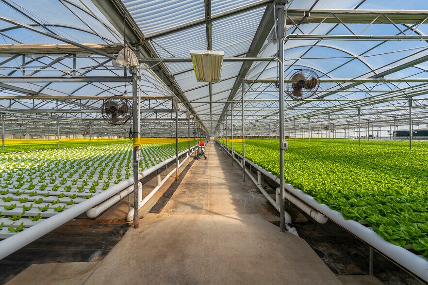 More Photos Of 2075 N Twin Oaks Valley Rd, San Marcos Garden Center For Lease
