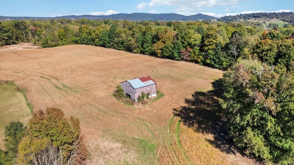 More Photos Of 732 KY-558, Alpha Land For Sale