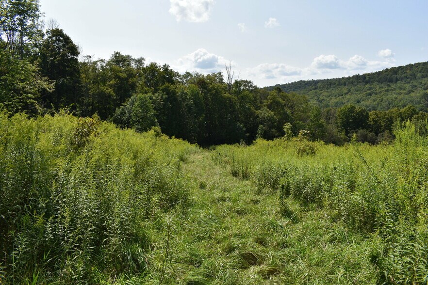 More Photos Of 2276 Old Route 17, Windsor Township Specialty For Sale