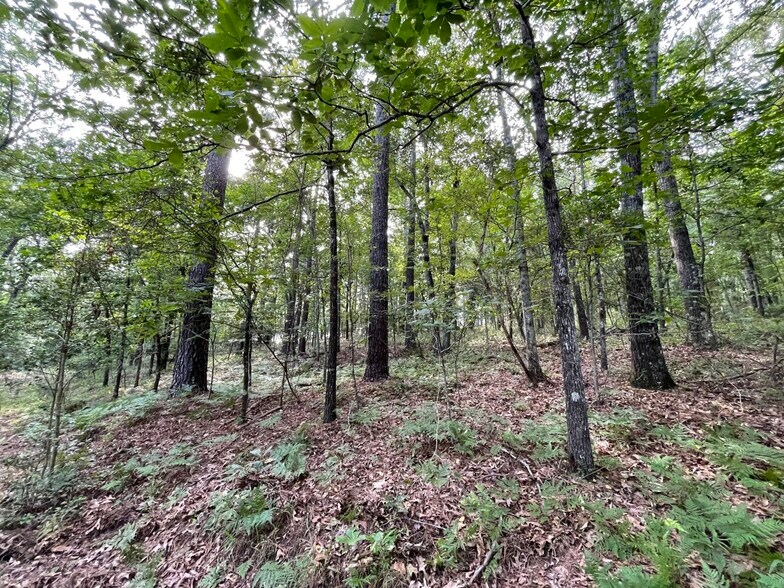 More Photos Of 229 Colbert Bridge Road, Windsor Land For Sale