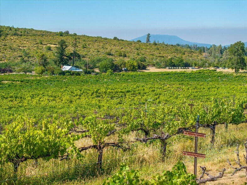 More Photos Of 31630 Forwards Rd, Manton Land For Sale