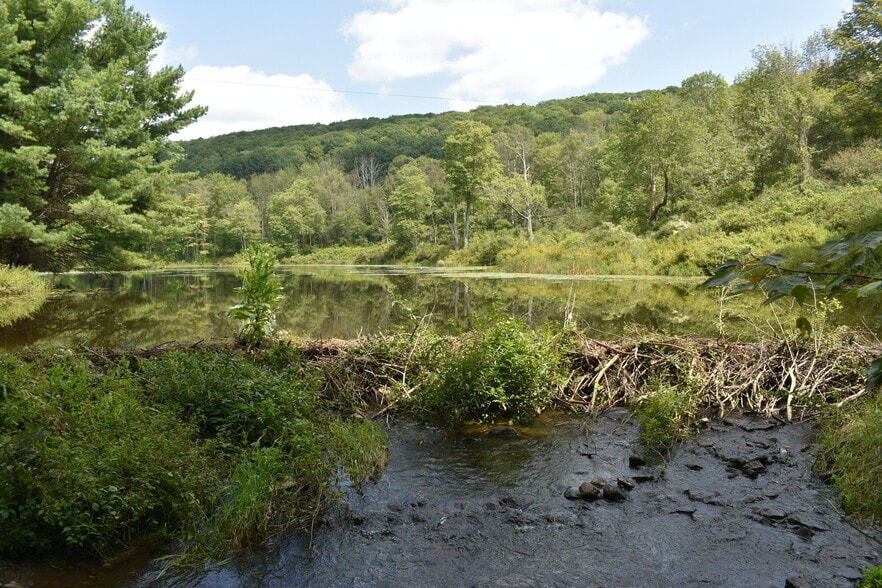 More Photos Of 2276 Old Route 17, Windsor Township Specialty For Sale