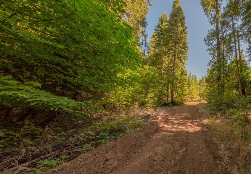 More Photos Of 1229 Blair Rd, Pollock Pines Land For Sale