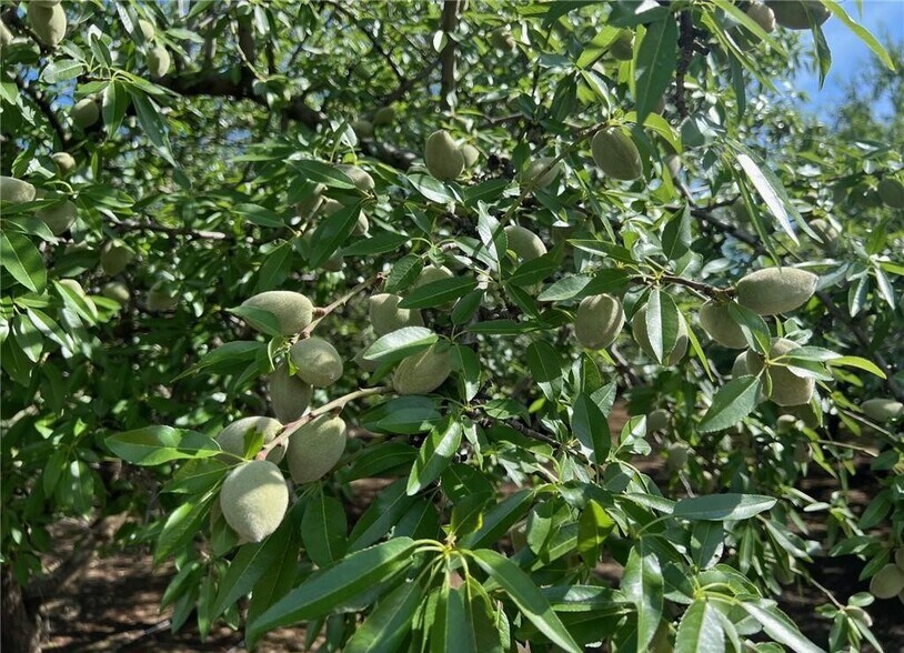 More Photos Of 1192 E Gerard Ave, Merced Land For Sale