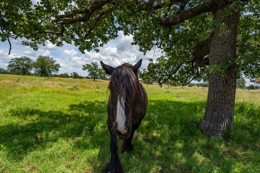 More Photos Of TBD Ranch to Market 1431, Marble Falls Land For Sale