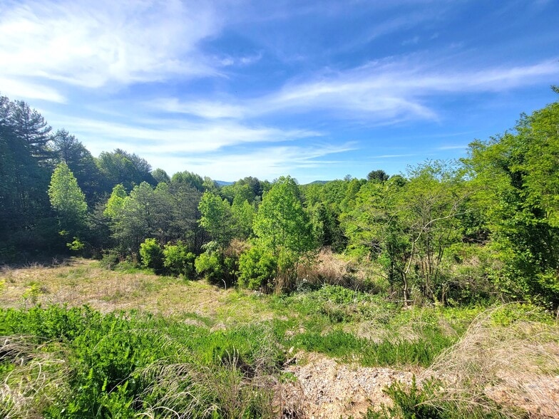 More Photos Of 9999 Airport Rd, Arden Land For Sale