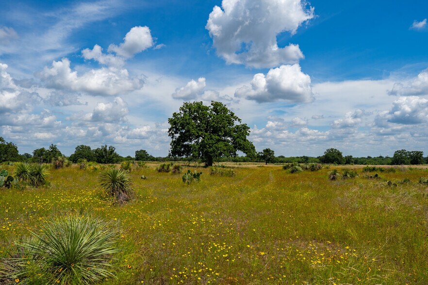 More Photos Of TBD Ranch to Market 1431, Marble Falls Land For Sale