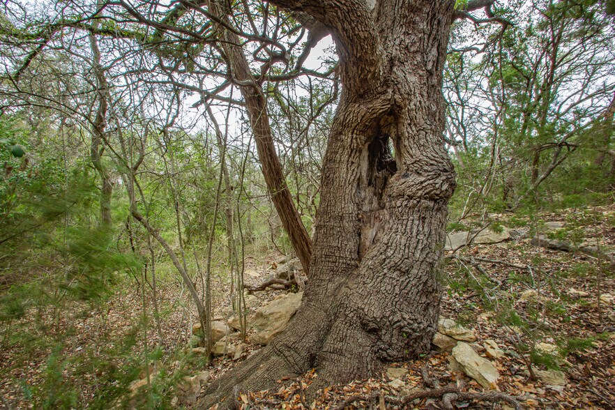 More Photos Of 250 Mail Route Rd, Fischer Land For Sale