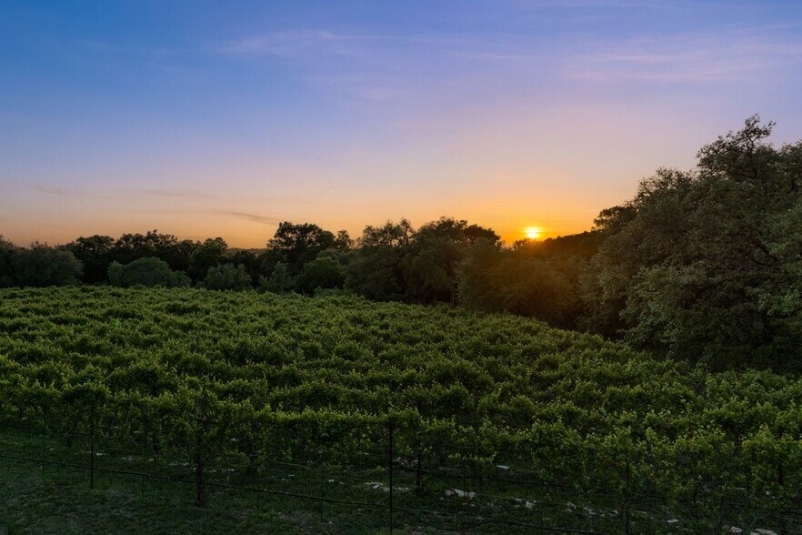 More Photos Of 18059A Ranch to Market Road 1826, Driftwood Winery Vineyard For Sale