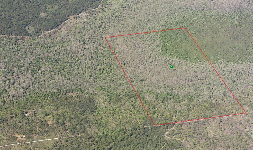 More Photos Of Lake Harney Rd, Osteen Land For Sale