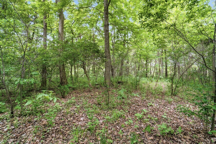 More Photos Of 30-Acres Wolfpen Pleasant Hill Rd, Day Heights Land For Sale