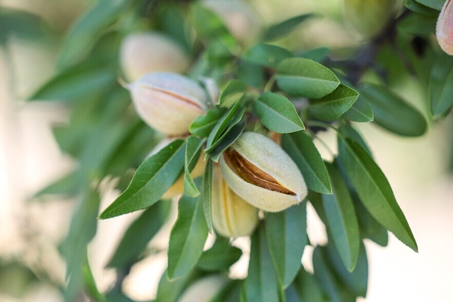 More Photos Of 7476 Mt Whitney ave, Laton Land For Sale