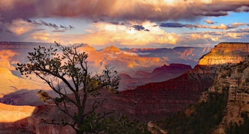 More Photos Of 460 E Sheridan Ave, Williams Hospitality For Sale