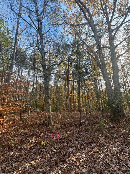 More Photos Of 3207 Broad st, Gum Spring Land For Sale