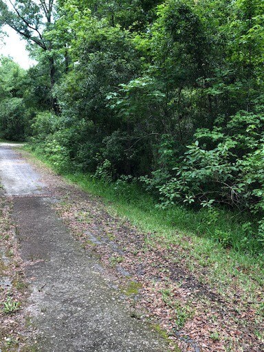 More Photos Of 73 Hope Ln, Saint Marks Land For Sale