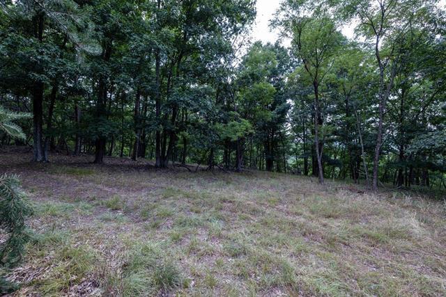 More Photos Of 22590 Criders Rd, Criders Land For Sale