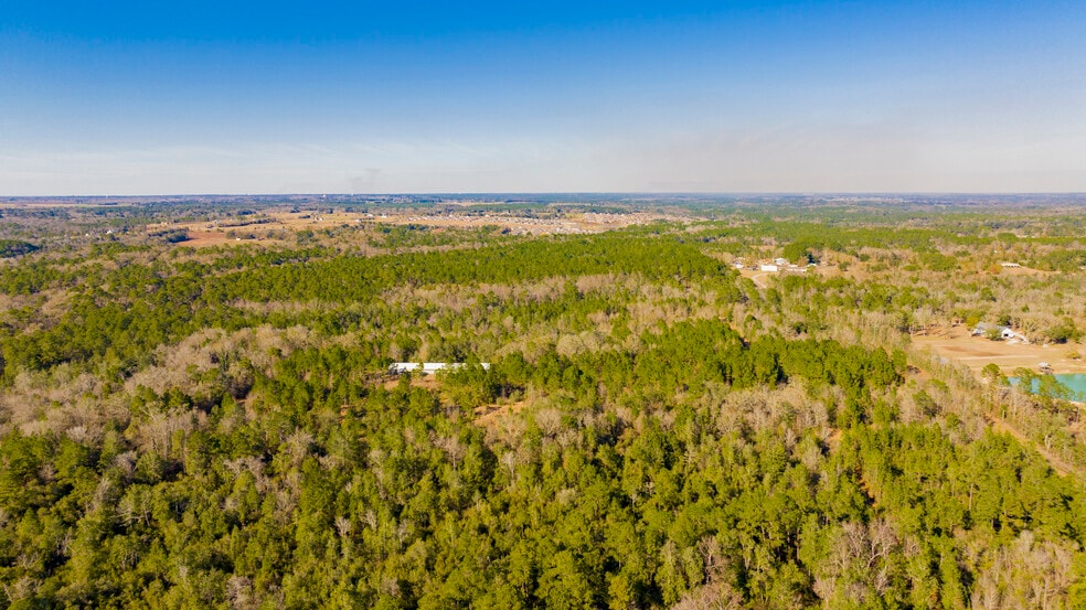 More Photos Of 12960 County Road 48, Silverhill Land For Sale